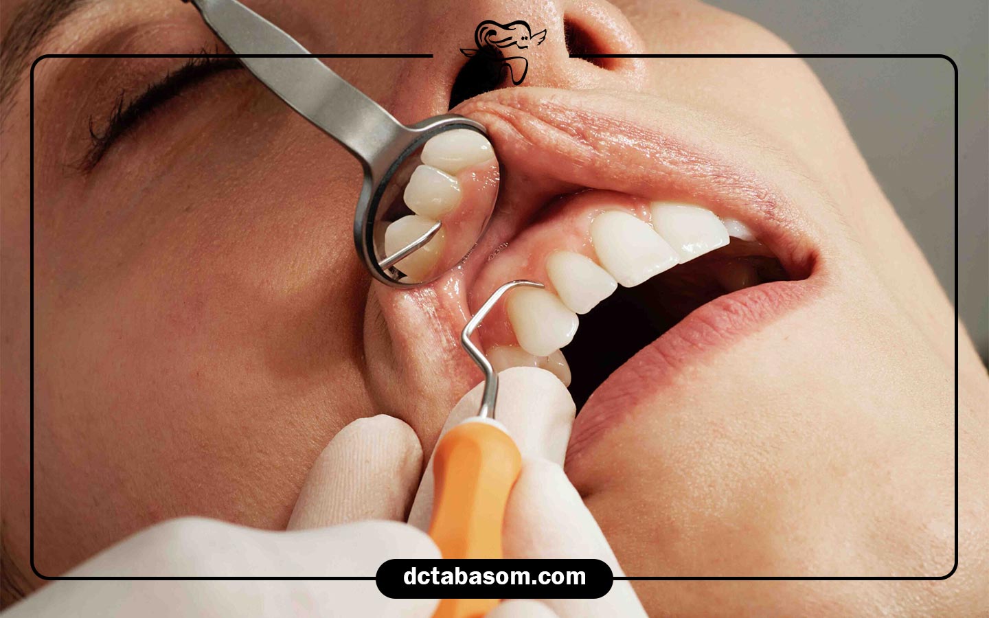 خدمات دولتی و بیمه‌ های تکمیلی را بررسی کنید